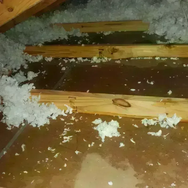 Attic Water Damage in Stockbridge, MI