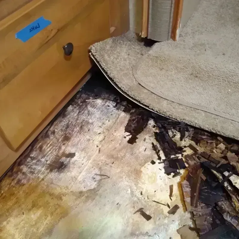 Wood Floor Water Damage in Stockbridge, MI